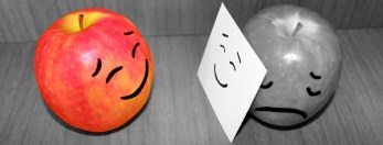 6025311011_fd55d6aa1b_b