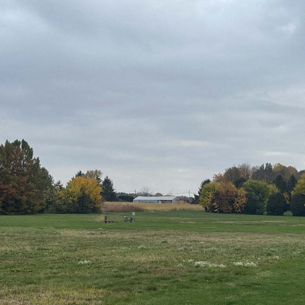 I feel like I should be used to it by&nbsp;now